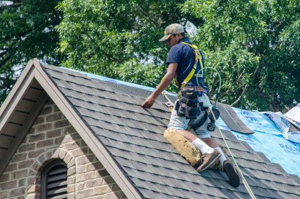 Best Affordable Roofing Company  in Florissant, MO